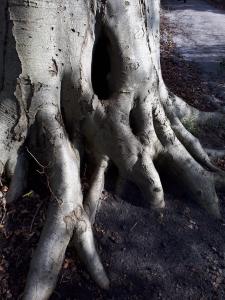 Leentje Landgoed Nijenborg 3